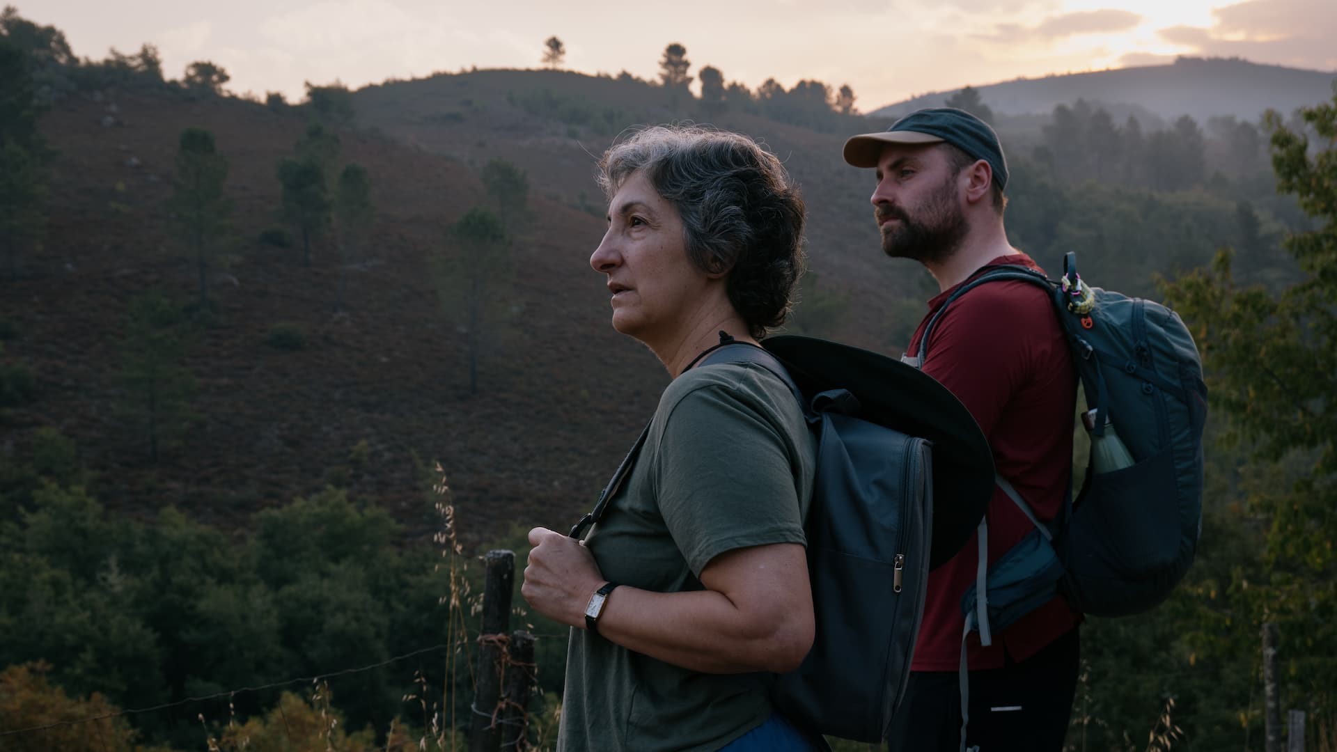 Walking holiday (El mismo camino)